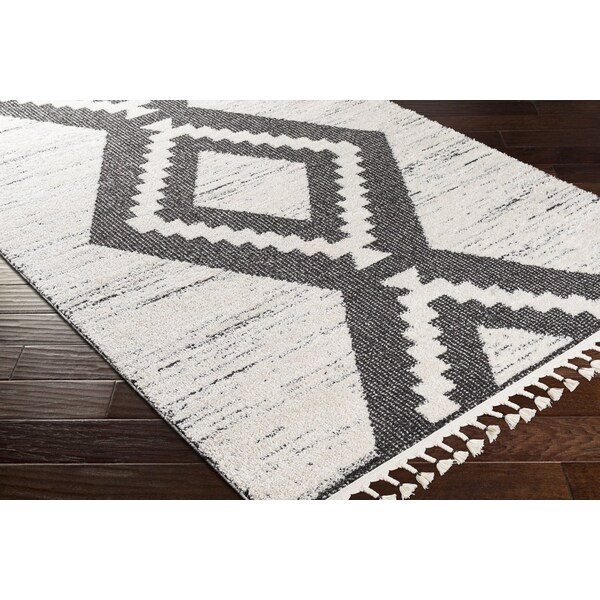 Valencia VLC-2303 Area Rug , With Fringe
